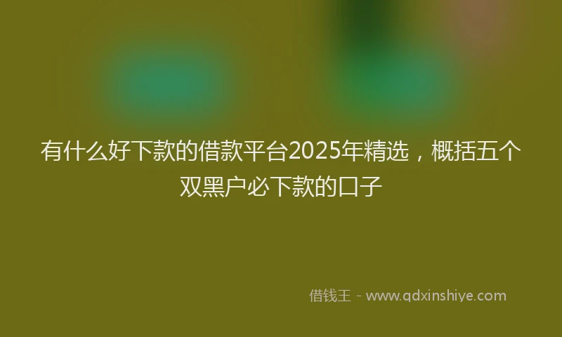 有什么好下款的借款平台2025年精选，概括五个双黑户必下款的口子