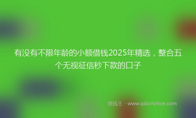 有没有不限年龄的小额借钱2025年精选，整合五个无视征信秒下款的口子