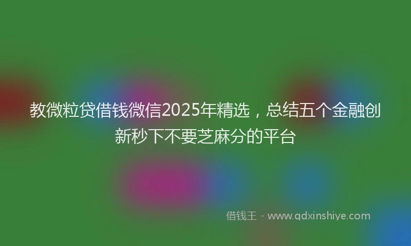 教微粒贷借钱微信2025年精选，总结五个金融创新秒下不要芝麻分的平台