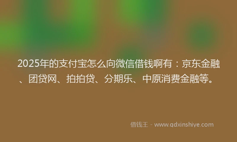 2025年的支付宝怎么向微信借钱啊有：京东金融、团贷网、拍拍贷、分期乐、中原消费金融等。