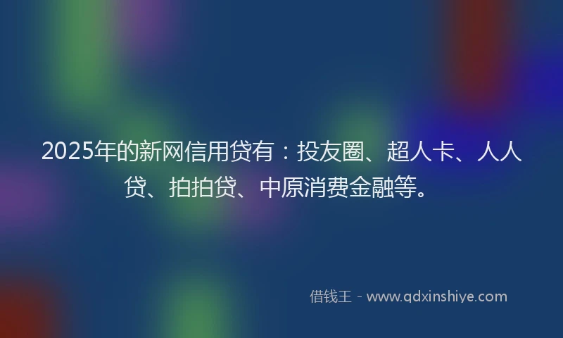 2025年的新网信用贷有：投友圈、超人卡、人人贷、拍拍贷、中原消费金融等。