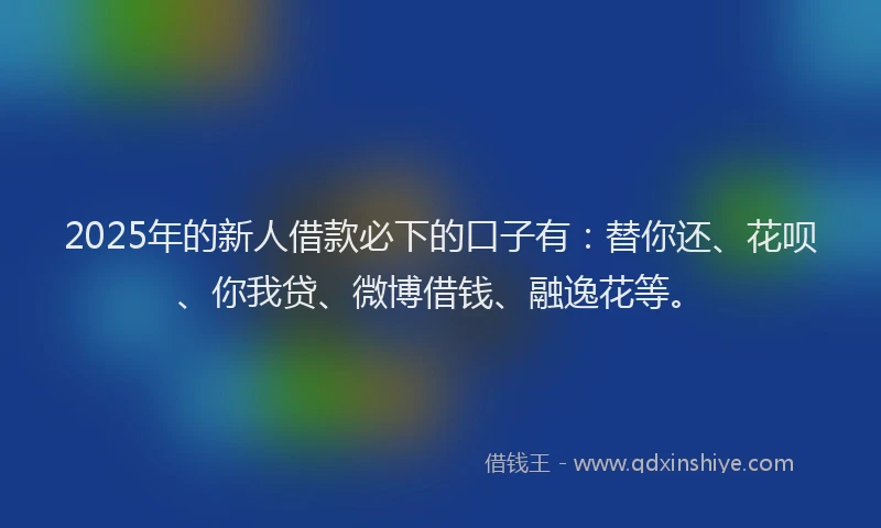 2025年的新人借款必下的口子有：替你还、花呗、你我贷、微博借钱、融逸花等。