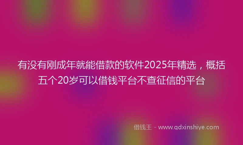 有没有刚成年就能借款的软件2025年精选，概括五个20岁可以借钱平台不查征信的平台