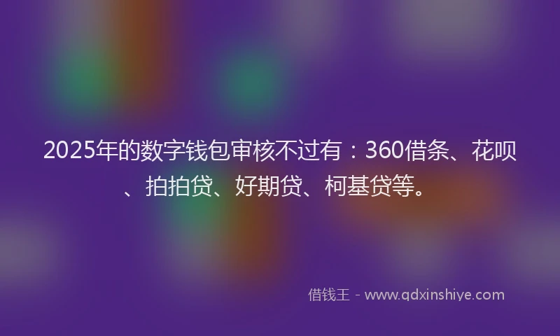 2025年的数字钱包审核不过有：360借条、花呗、拍拍贷、好期贷、柯基贷等。