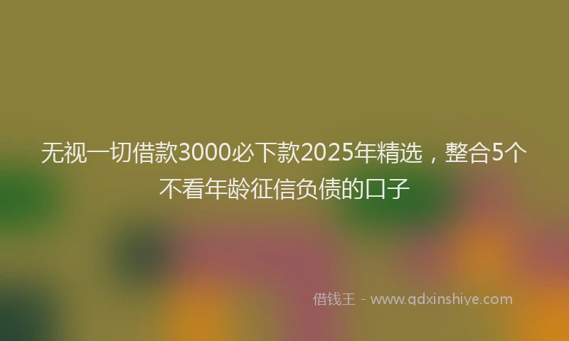无视一切借款3000必下款2025年精选，整合5个不看年龄征信负债的口子