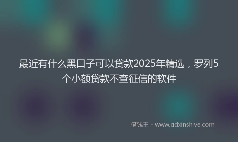 最近有什么黑口子可以贷款2025年精选，罗列5个小额贷款不查征信的软件