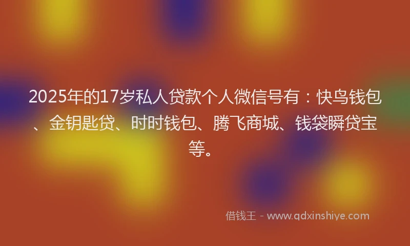 2025年的17岁私人贷款个人微信号有：快鸟钱包、金钥匙贷、时时钱包、腾飞商城、钱袋瞬贷宝等。