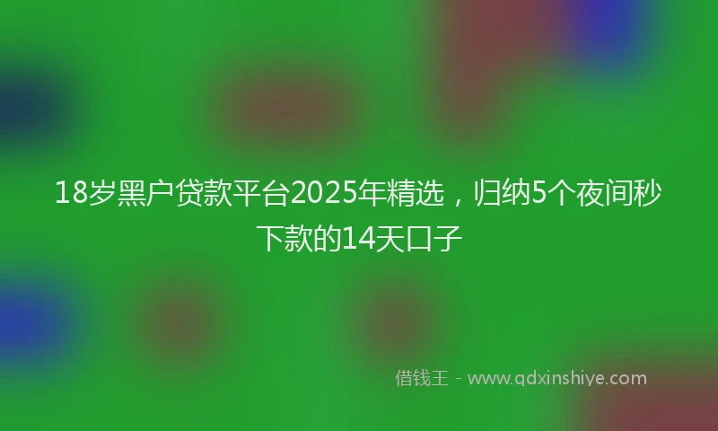 18岁黑户贷款平台2025年精选，归纳5个夜间秒下款的14天口子