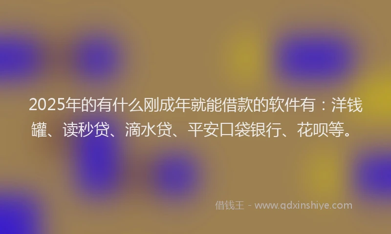 2025年的有什么刚成年就能借款的软件有：洋钱罐、读秒贷、滴水贷、平安口袋银行、花呗等。