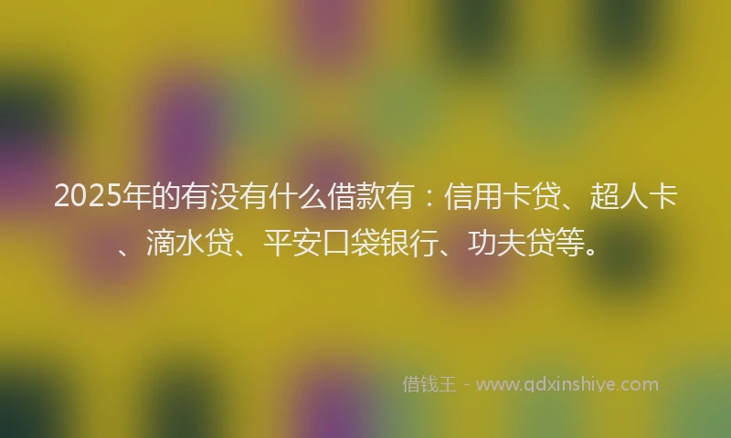 2025年的有没有什么借款有：信用卡贷、超人卡、滴水贷、平安口袋银行、功夫贷等。