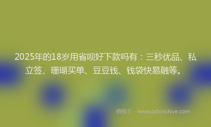 2025年的18岁用省呗好下款吗有：三秒优品、私立签、珊瑚买单、豆豆钱、钱袋快易融等。