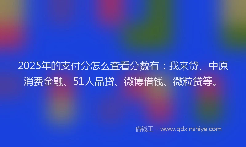 2025年的支付分怎么查看分数有：我来贷、中原消费金融、51人品贷、微博借钱、微粒贷等。