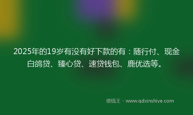 2025年的19岁有没有好下款的有：随行付、现金白鸽贷、臻心贷、速贷钱包、鹿优选等。