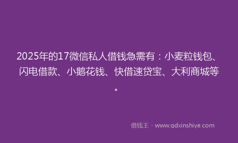 2025年的17微信私人借钱急需有：小麦粒钱包、闪电借款、小鹅花钱、快借速贷宝、大利商城等。