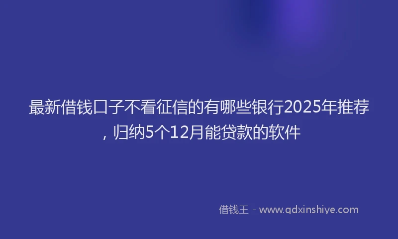 最新借钱口子不看征信的有哪些银行2025年推荐，归纳5个12月能贷款的软件