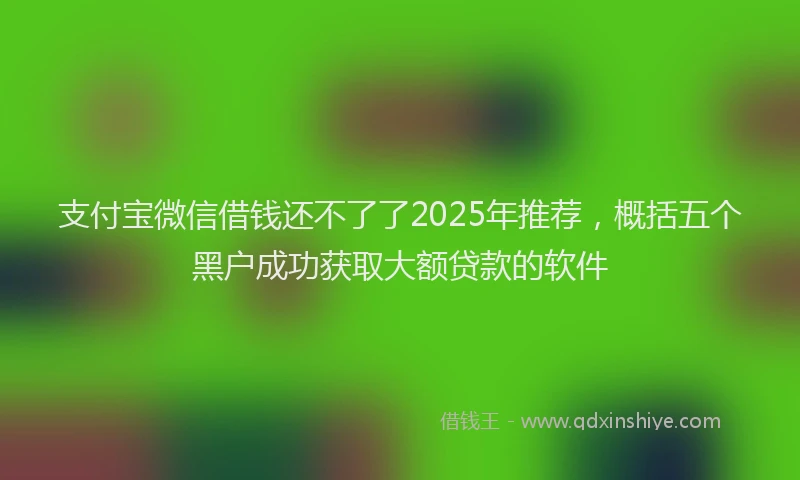 支付宝微信借钱还不了了2025年推荐，概括五个黑户成功获取大额贷款的软件