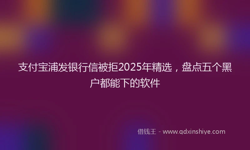 支付宝浦发银行信被拒2025年精选，盘点五个黑户都能下的软件