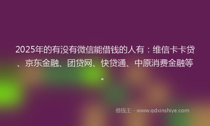 2025年的有没有微信能借钱的人有：维信卡卡贷、京东金融、团贷网、快贷通、中原消费金融等。