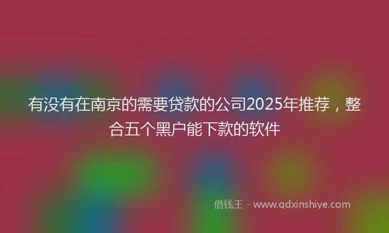 有没有在南京的需要贷款的公司2025年推荐，整合五个黑户能下款的软件