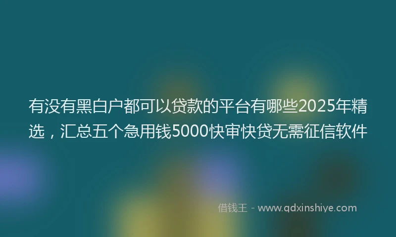 有没有黑白户都可以贷款的平台有哪些2025年精选，汇总五个急用钱5000快审快贷无需征信软件
