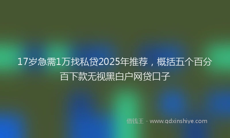 17岁急需1万找私贷2025年推荐，概括五个百分百下款无视黑白户网贷口子