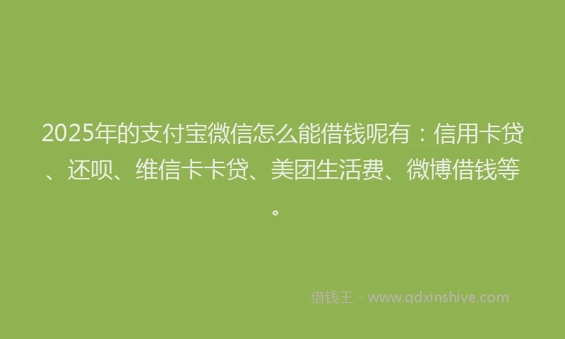 2025年的支付宝微信怎么能借钱呢有：信用卡贷、还呗、维信卡卡贷、美团生活费、微博借钱等。