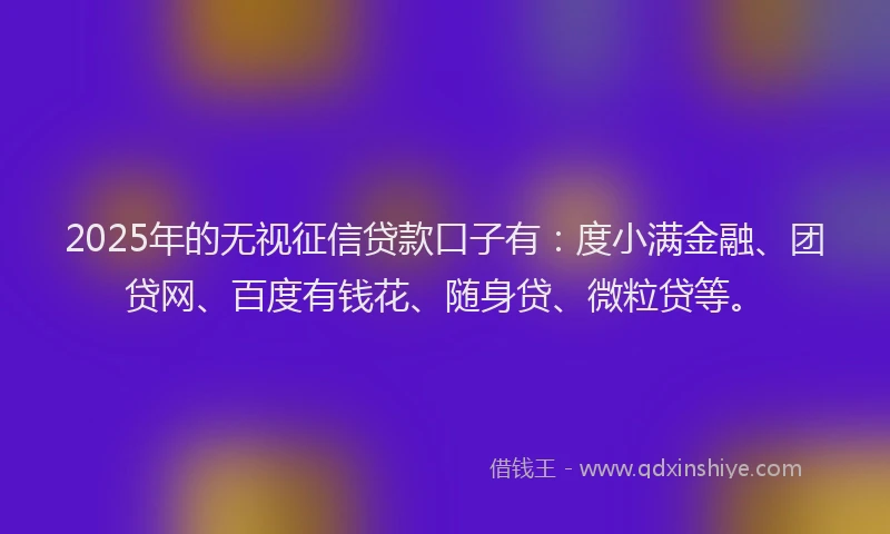 2025年的无视征信贷款口子有：度小满金融、团贷网、百度有钱花、随身贷、微粒贷等。