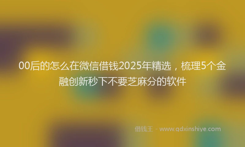 00后的怎么在微信借钱2025年精选，梳理5个金融创新秒下不要芝麻分的软件