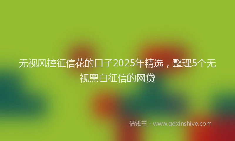 无视风控征信花的口子2025年精选，整理5个无视黑白征信的网贷