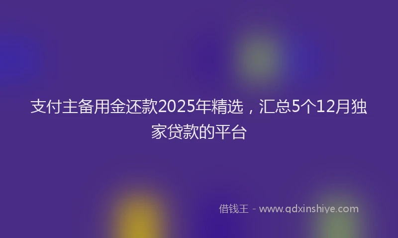 支付主备用金还款2025年精选，汇总5个12月独家贷款的平台
