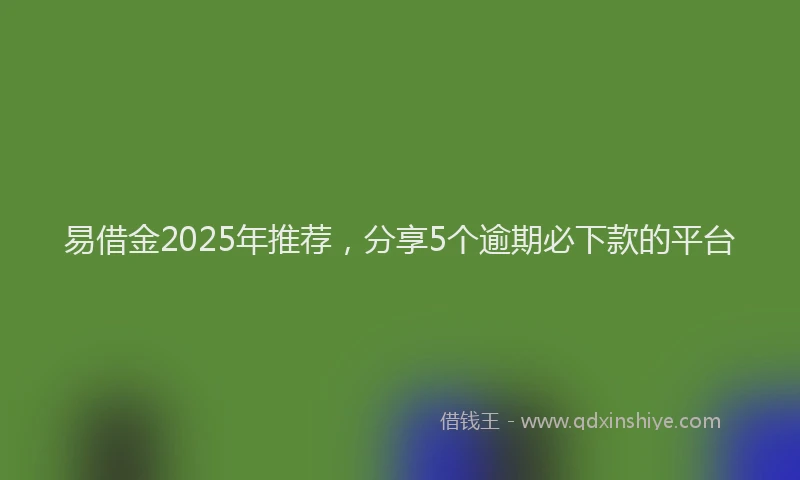 易借金2025年推荐，分享5个逾期必下款的平台