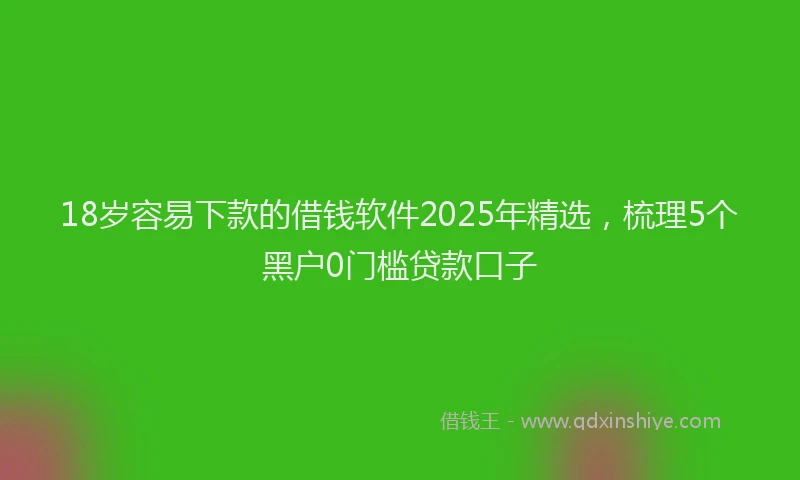 18岁容易下款的借钱软件2025年精选，梳理5个黑户0门槛贷款口子