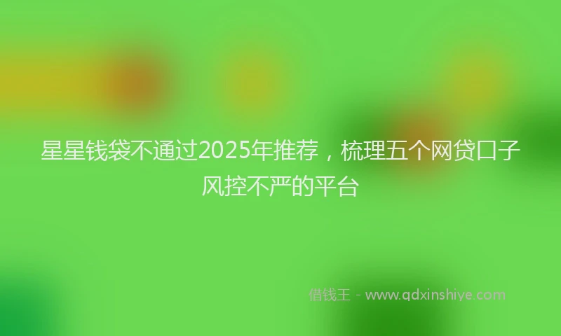 星星钱袋不通过2025年推荐，梳理五个网贷口子风控不严的平台