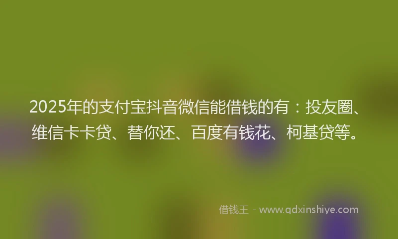 2025年的支付宝抖音微信能借钱的有：投友圈、维信卡卡贷、替你还、百度有钱花、柯基贷等。