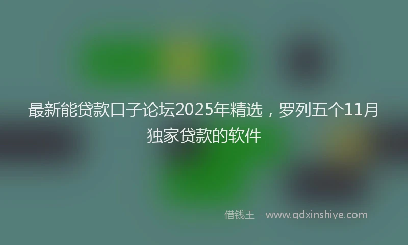 最新能贷款口子论坛2025年精选，罗列五个11月独家贷款的软件