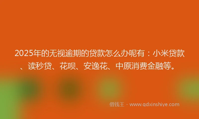 2025年的无视逾期的贷款怎么办呢有：小米贷款、读秒贷、花呗、安逸花、中原消费金融等。