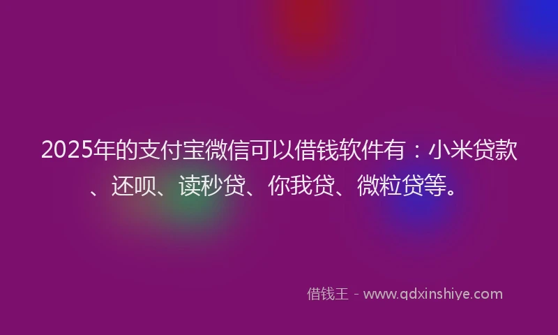 2025年的支付宝微信可以借钱软件有:小米贷款、还呗、读秒贷、你我贷、微粒贷等。