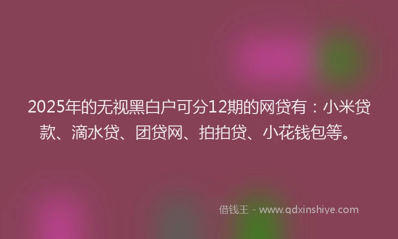 2025年的无视黑白户可分12期的网贷有：小米贷款、滴水贷、团贷网、拍拍贷、小花钱包等。