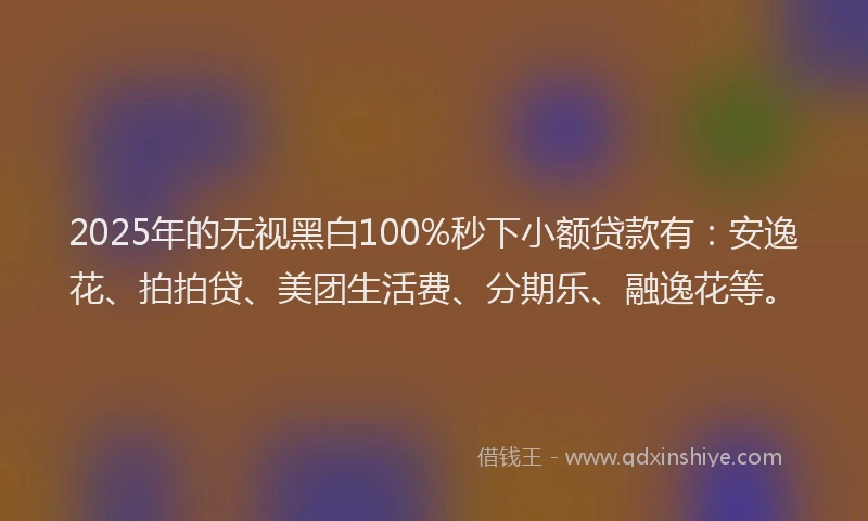 2025年的无视黑白100%秒下小额贷款有：安逸花、拍拍贷、美团生活费、分期乐、融逸花等。