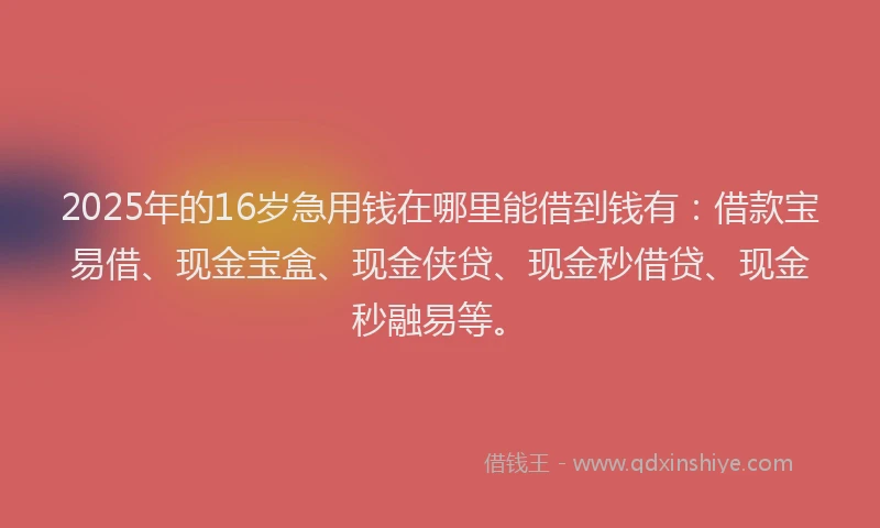 2025年的16岁急用钱在哪里能借到钱有：借款宝易借、现金宝盒、现金侠贷、现金秒借贷、现金秒融易等。