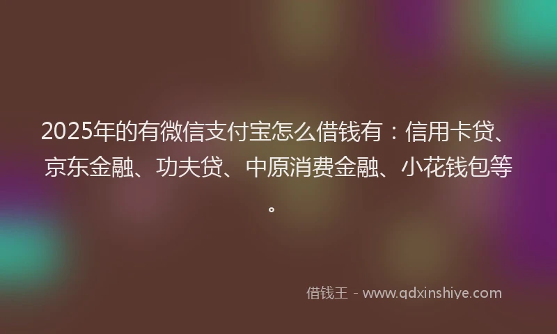 2025年的有微信支付宝怎么借钱有：信用卡贷、京东金融、功夫贷、中原消费金融、小花钱包等。