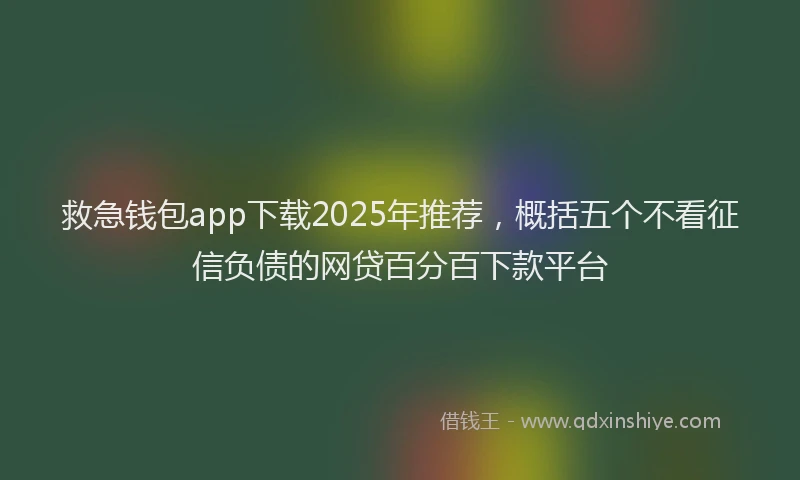 救急钱包app下载2025年推荐，概括五个不看征信负债的网贷百分百下款平台
