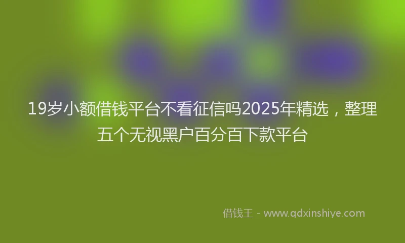 19岁小额借钱平台不看征信吗2025年精选，整理五个无视黑户百分百下款平台
