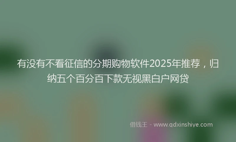 有没有不看征信的分期购物软件2025年推荐，归纳五个百分百下款无视黑白户网贷