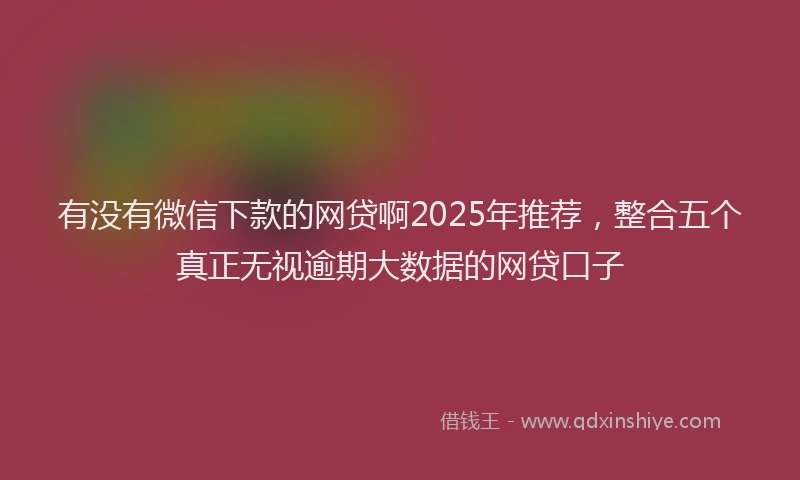 有没有微信下款的网贷啊2025年推荐，整合五个真正无视逾期大数据的网贷口子