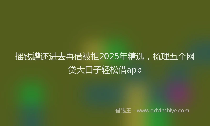 摇钱罐还进去再借被拒2025年精选，梳理五个网贷大口子轻松借app