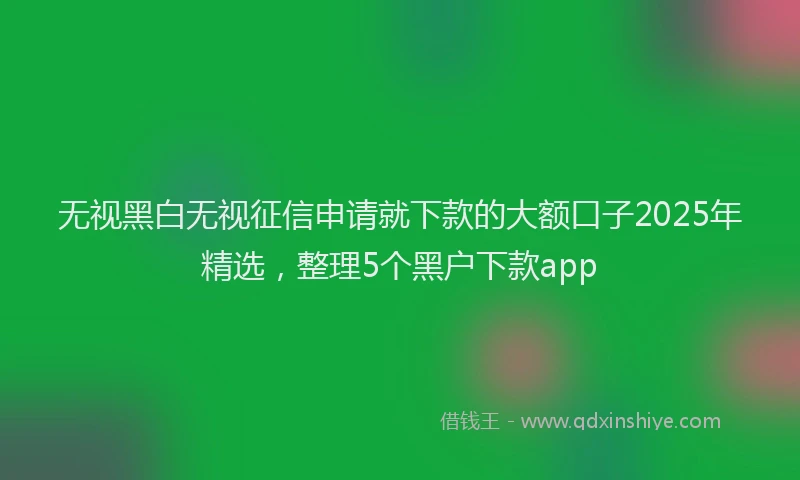 无视黑白无视征信申请就下款的大额口子2025年精选，整理5个黑户下款app