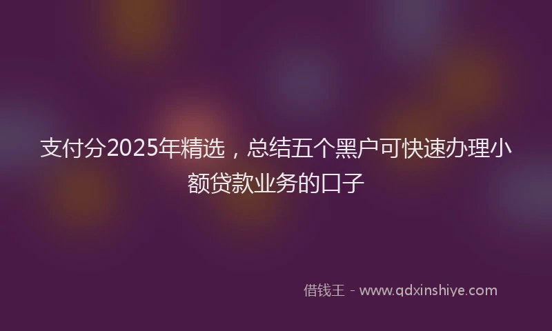 支付分2025年精选，总结五个黑户可快速办理小额贷款业务的口子
