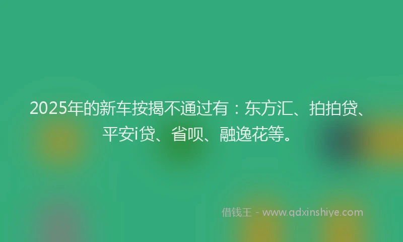 2025年的新车按揭不通过有：东方汇、拍拍贷、平安i贷、省呗、融逸花等。