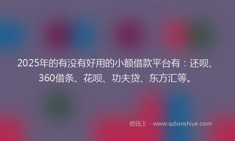 2025年的有没有好用的小额借款平台有：还呗、360借条、花呗、功夫贷、东方汇等。